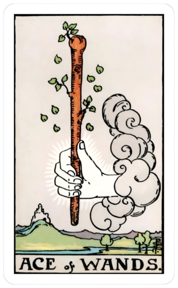 ace of wands